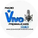 Vivo Promaucaes
