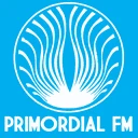 Radio Primordial