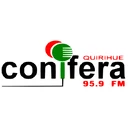 Radio Conifera