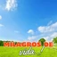 Radio Milagros de Vida
