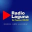 Radio Laguna De Puyehue