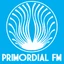 Radio Primordial